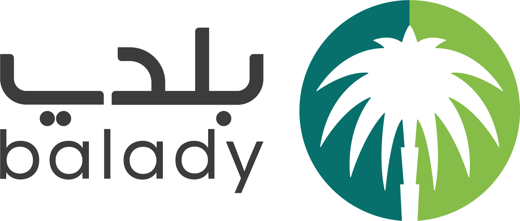 Balady